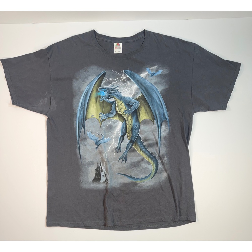 Fruit of the Loom Dragon Fantasy Graphic T-Shirt Gray XL Lightning Castle Tee